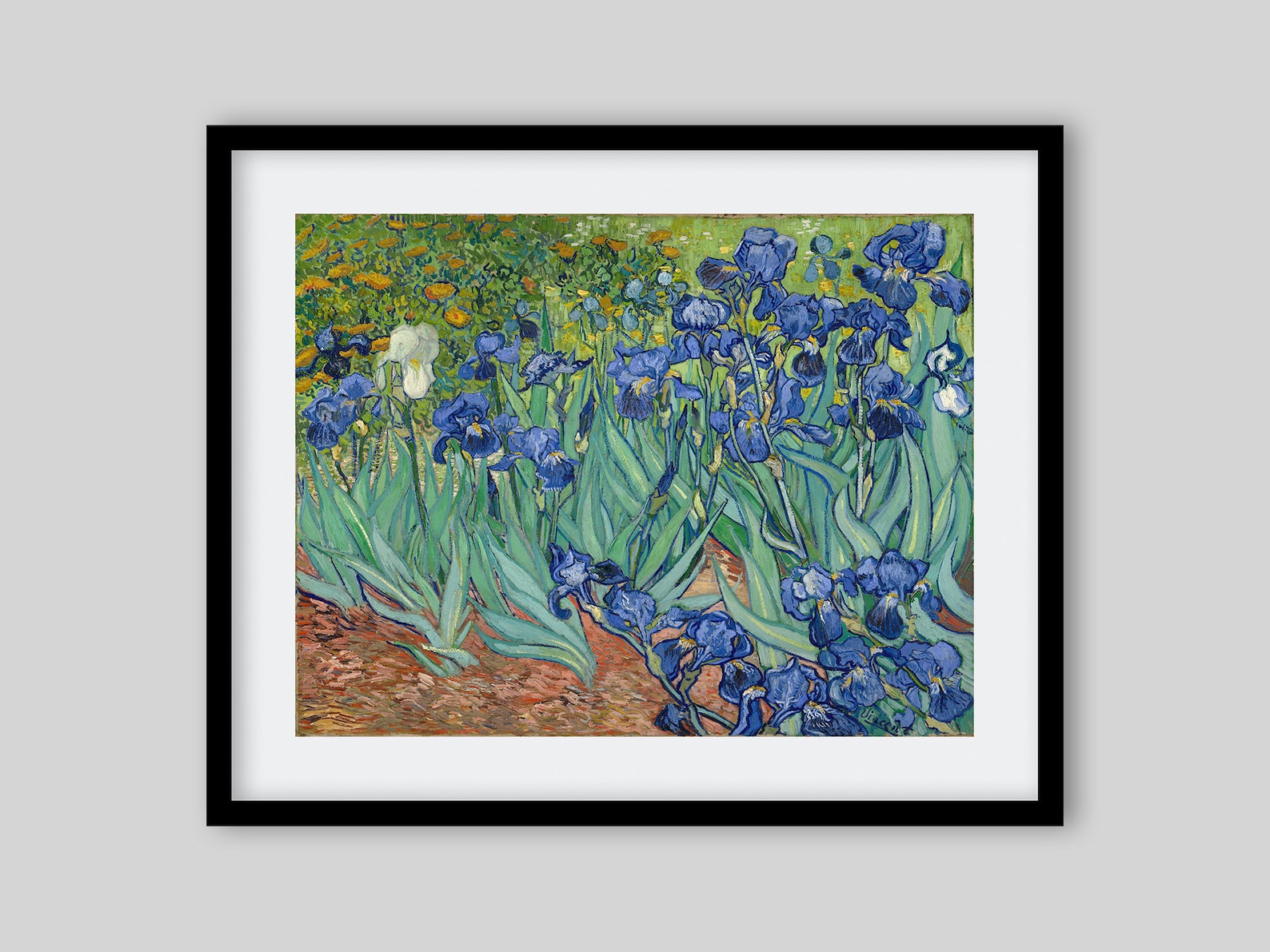 Vincent Van Gogh Irises 1889. Framed / Unframed Print - Etsy