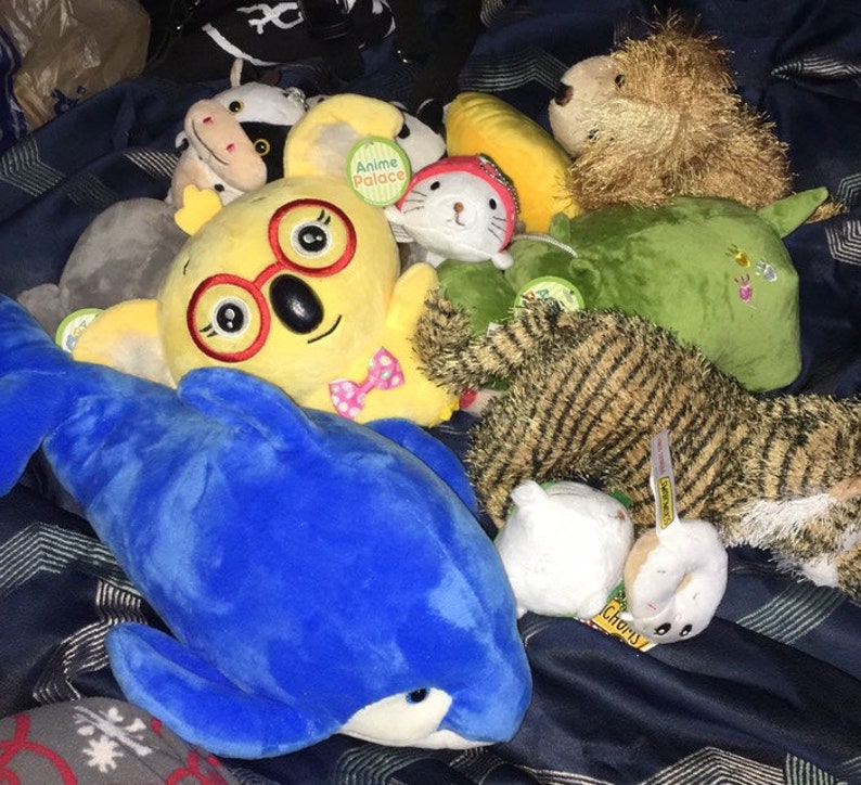 MYSTERY BOX Secret Mystery set of Plush Stuffed Animals Etsy