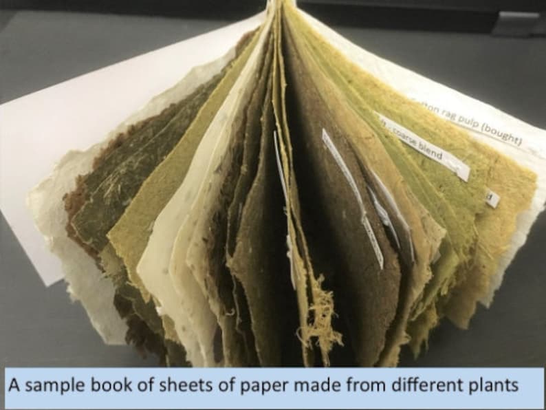 K&ouml;nnte beinhalten: Ein Musterbuch mit Papierbl&auml;ttern aus verschiedenen Pflanzen. Die Seiten sind in verschiedenen Gr&uuml;nt&ouml;nen, Braun- und Wei&szlig;t&ouml;nen gehalten und weisen sichtbare Texturen auf. Einige Seiten haben Etiketten mit Text. Die Seiten sind aufgef&auml;chert.