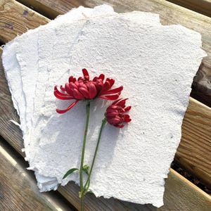 Handmade cotton paper sheets A5 - Off white