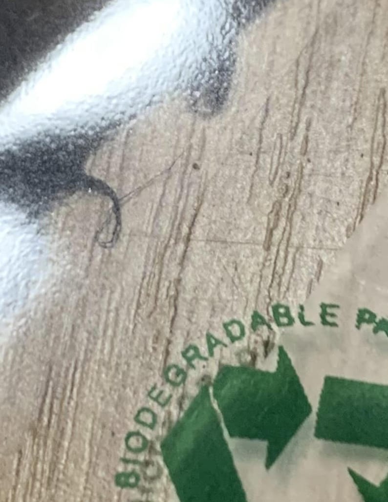 Handgemachtes Wildpflanzenpapier - 100% säurefrei - Standardpackung Bild 9