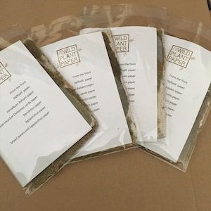 Handgemachtes Wildpflanzenpapier - 100% säurefrei - Standardpackung Bild 3