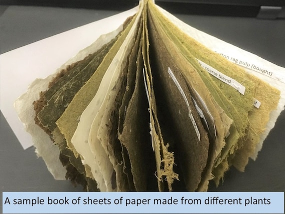 Handmade wild plant paper - 100% acid free - bumper pack