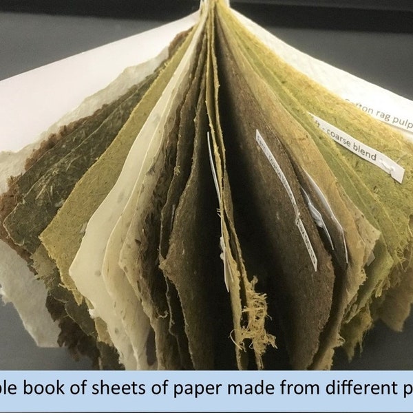 Papier végétal sauvage fait à la main - 100 % sans acide - pack pare-chocs