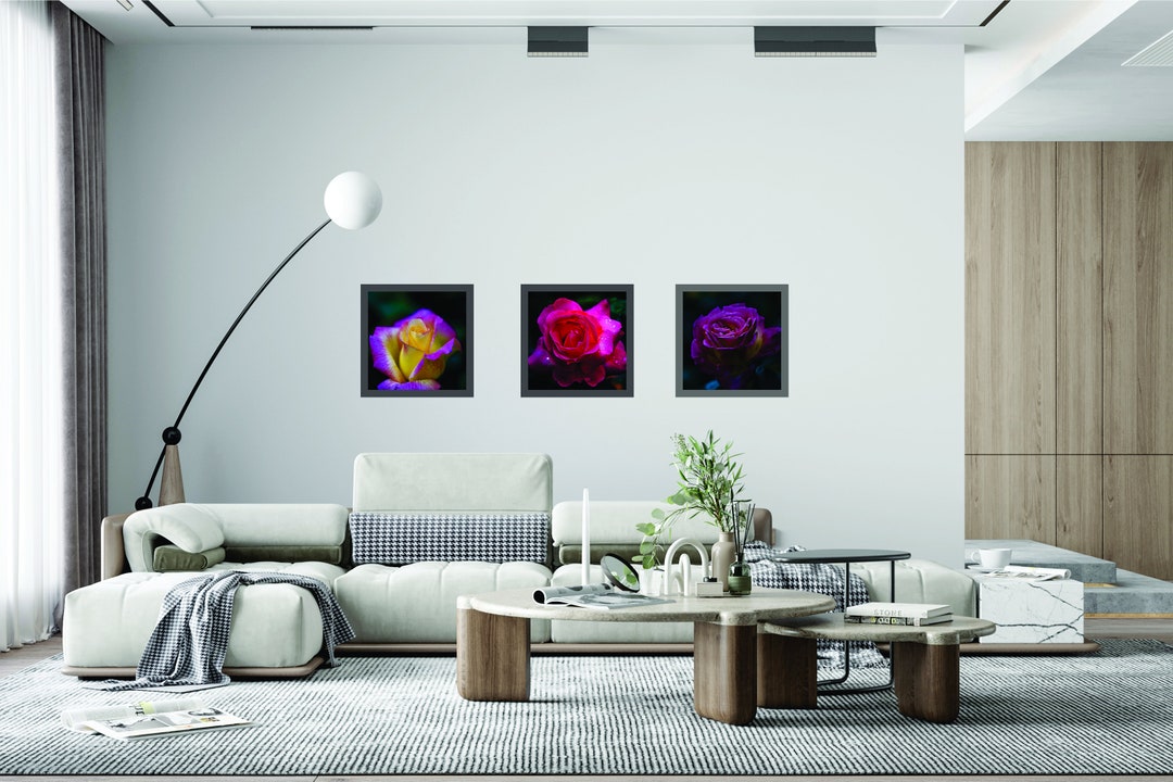 Printable Set of 3 Roses Flower Wall Art Digital Download Etsy