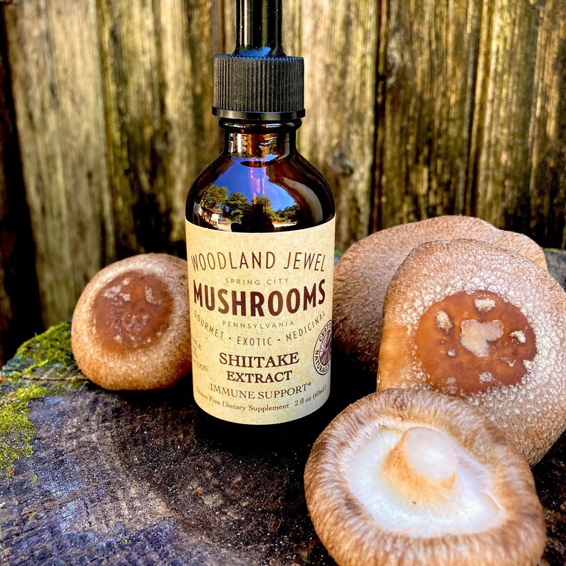Shiitake Mushroom Extract Immune Support Tincture Etsy