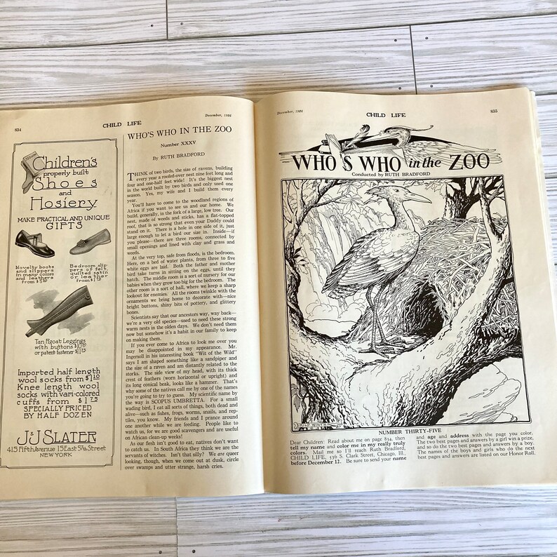 Peut inclure: Une illustration en noir et blanc d'un oiseau, peut-&ecirc;tre une grue, debout sur une branche avec un nid derri&egrave;re lui. L'illustration est tir&eacute;e d'un livre pour enfants sur les animaux du zoo.