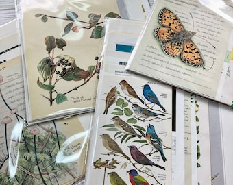 May include: A collection of vintage botanical illustrations featuring a variety of plants and birds. The illustrations are printed on cardstock and are perfect for scrapbooking, card making, or other craft projects.
