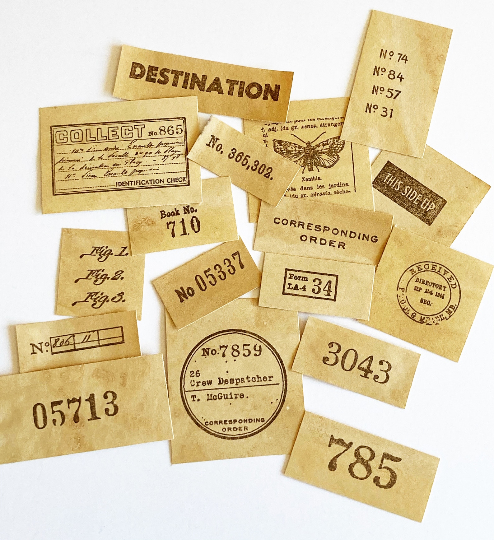 Stamped Ephemera From Tim Holtz Field Notes Stamp Set Coffee Etsy