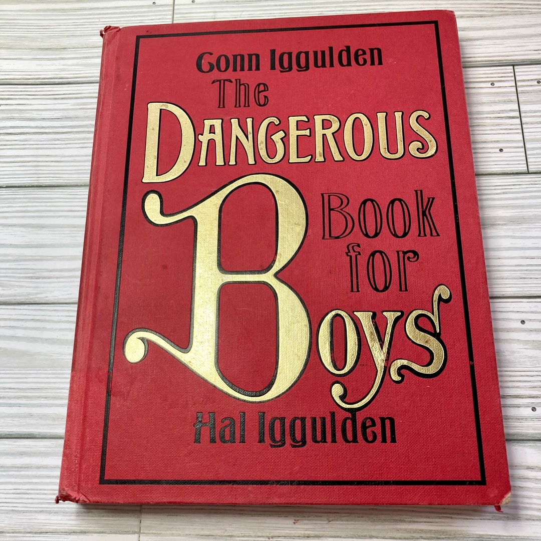 The Dangerous Book for Boys Childrens Activities Junk - Etsy