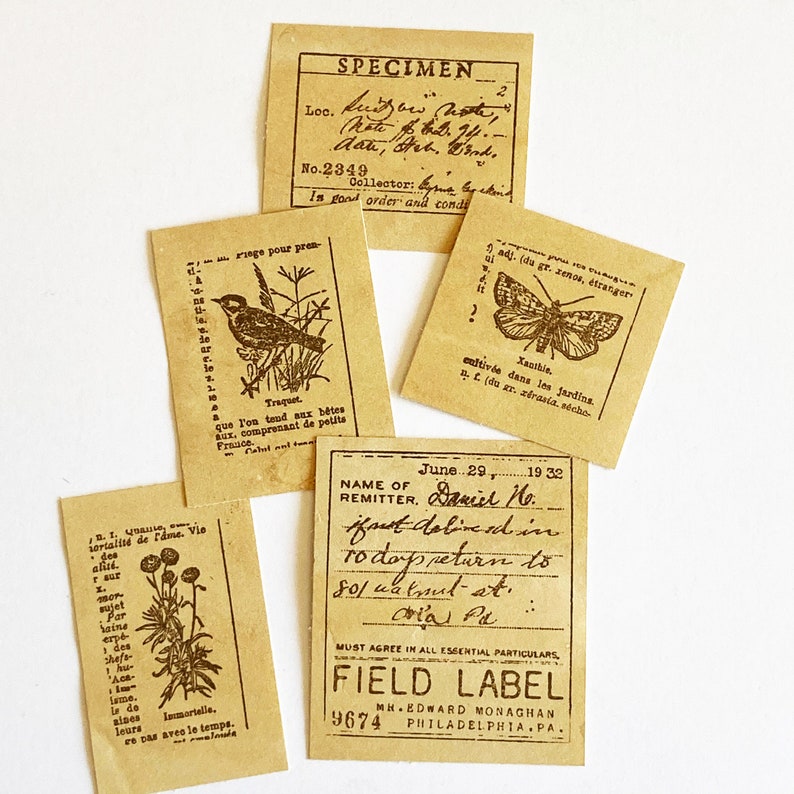Stamped Ephemera From Tim Holtz Field Notes Stamp Set Coffee Etsy