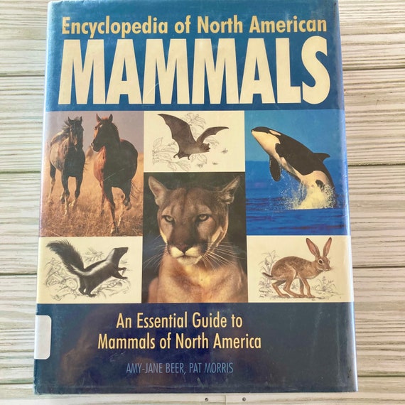 洋書 CLASSIC NATURAL HISTORY PRINTS MAMMALS Encyclopedia of North American Mammals, Animal Images, Journal
