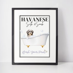 Personalized Havanese Dog Theme Sign Home Accent Gift Idea Havanese Dog Breed Bathroom Sign Bundle