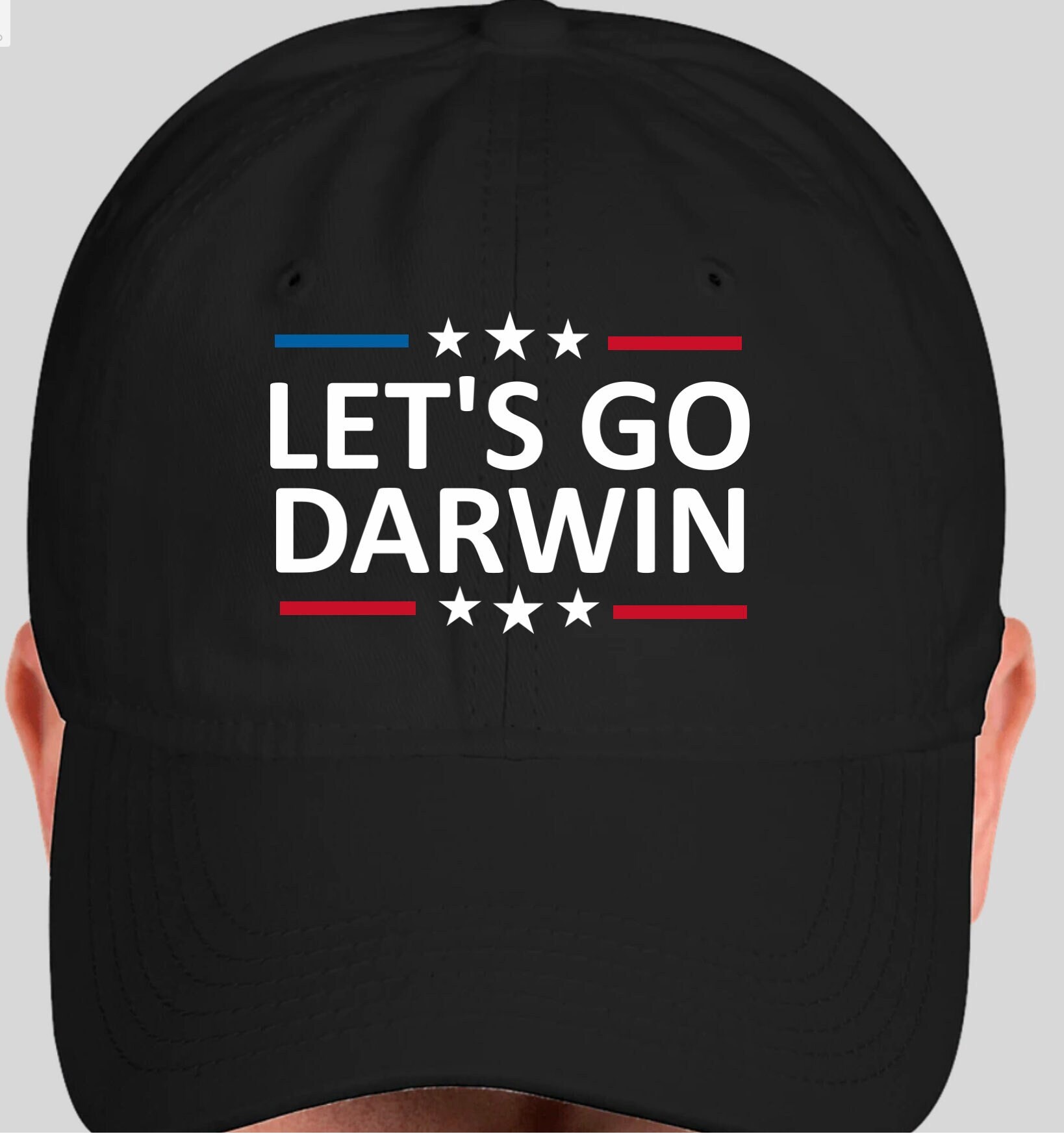 LETS GO DARWIN Hat Etsy