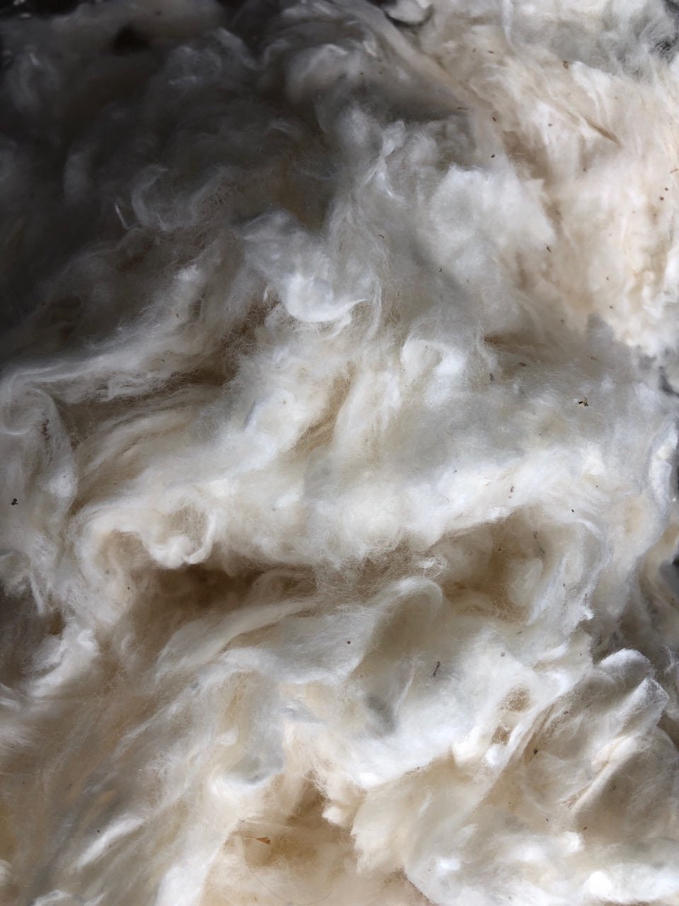 Fibra de bateo de algodón crudo orgánico blanco natural para relleno  (algodón crudo 1lb) : Arte y Manualidades 