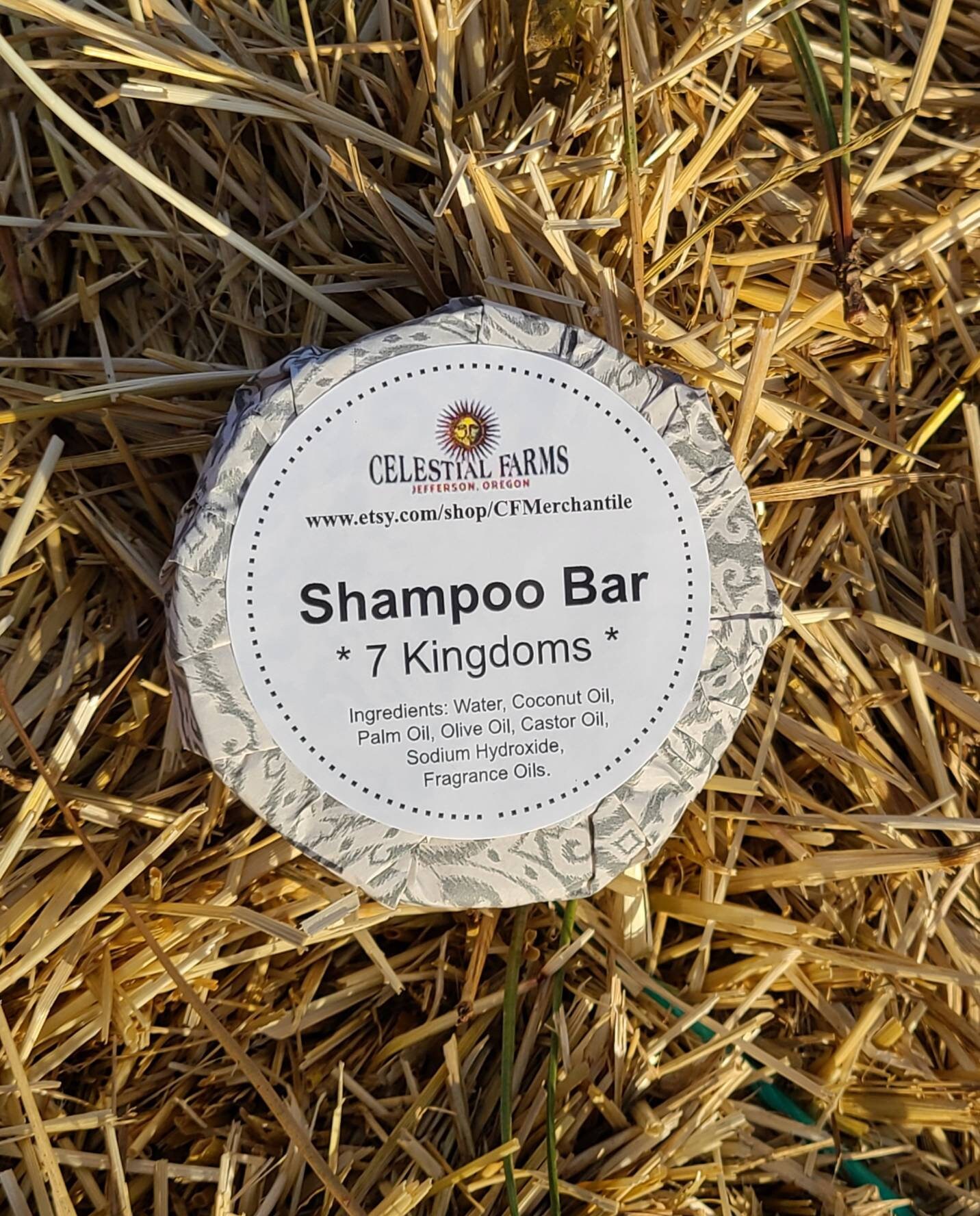 Handmade Shampoo Body Wash Bar 7 Kingdoms Etsy