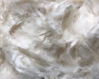 Coton brut, domestique, biologique, coton naturel pour la filature, le feutrage ou l'artisanat.