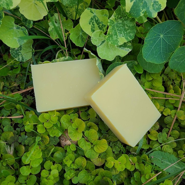 Handmade Tallow Soap - Orange and Clove, Cold Process Soap Bar, Natural Moisturizing Soap