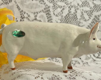 Beswick Porcelain Pig-ch Wall Champion Boy 53 OR Royal Doulton