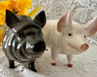 【Beswick ベズウィック】 豚　DANIEL  &MICHAEL　置物 BESWICK PIG PROMENADE DANIEL THE VIOLINIST MODEL PP5 POT BELLIED