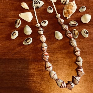 Shell Necklace