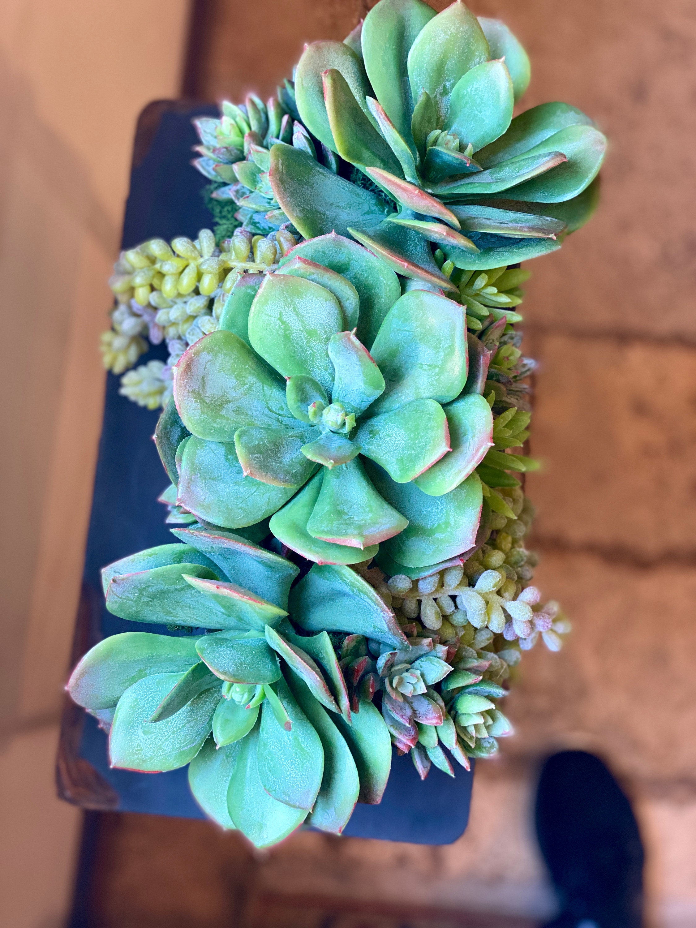 Disposición suculenta en jardinera de piedra rústica | Etsy