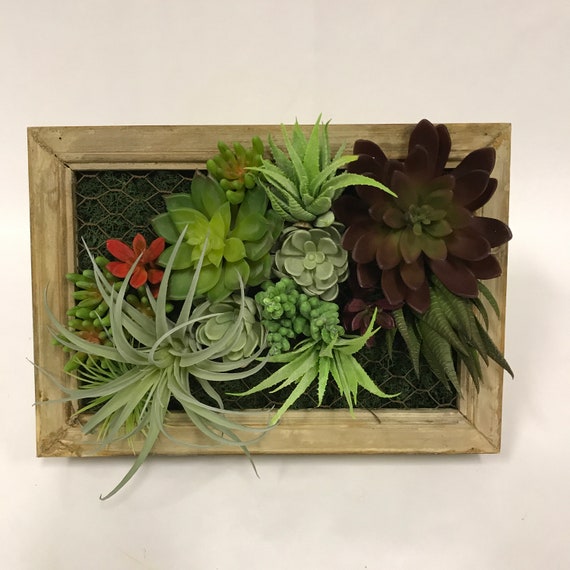 Succulent Wall Box Etsy