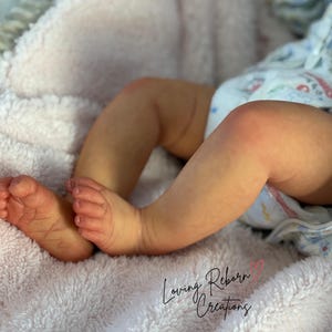 Noa by Cassie Love, SOLE Reborn Baby, Girl, High Quality with Certificate of Authenticity , READY To Ship image 10