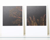 Postcard-Set tree, palmtree and night sky