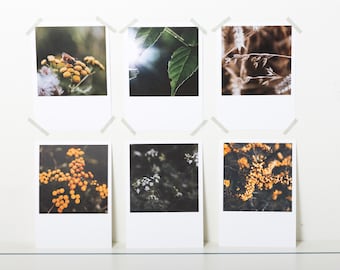 Postcard-Set nature, wild flowers with butterfly and buckthorn