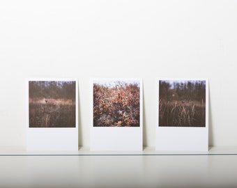 Postcard-Set sea buckthorn and leaves of grass, analog photography