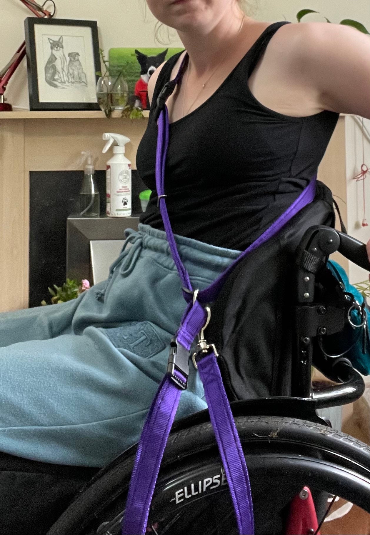 Dog Wheelchair for sale compared to CraigsList Only 3 left at 70