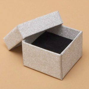 May include: A silver glitter gift box with a black velvet interior. The box is open and the lid is laying on its side.