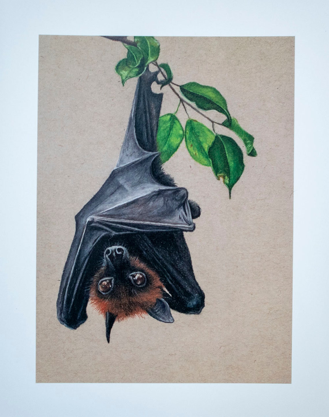 Hanging Bat Print | Etsy