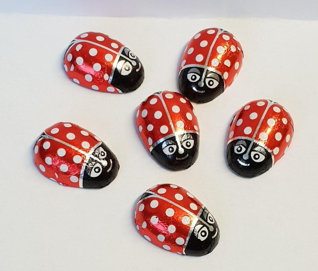 Party FAVOUR CHOCOLATES ANY OCCASION Personalised LADYBIRD Birthday Shower