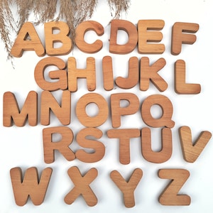 Letras de madera para aprender / Letras con imanes de madera / Juguete educativo Montessori / Alfabeto con imanes / Letras para educación en el hogar / Preescolar
