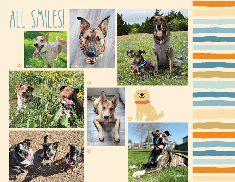 2024 Rescue Dog Calendar FREE Shipping Etsy