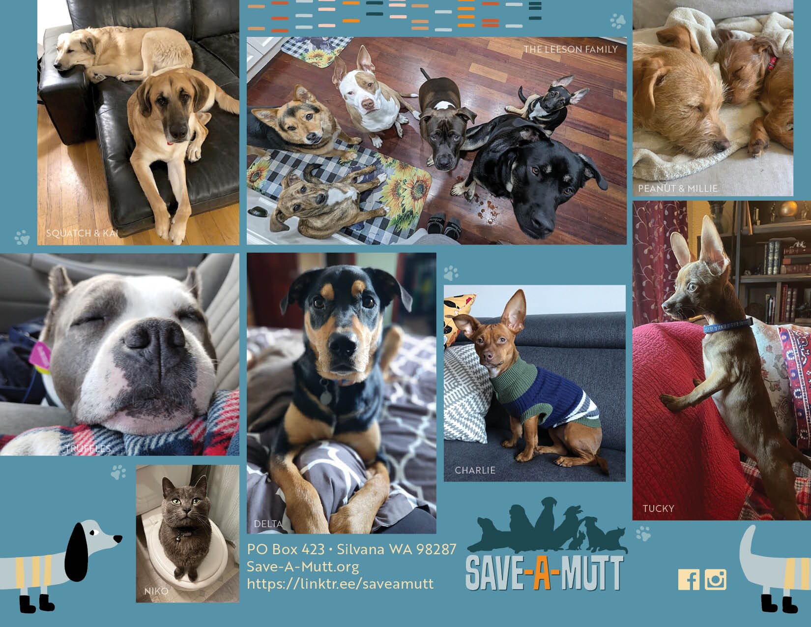 2024 Rescue Dog Calendar FREE Shipping Etsy