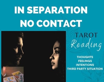 1 HOUR DELIVERY TAROT in separation - no contact  Tarot and Oracle reading. Four questions