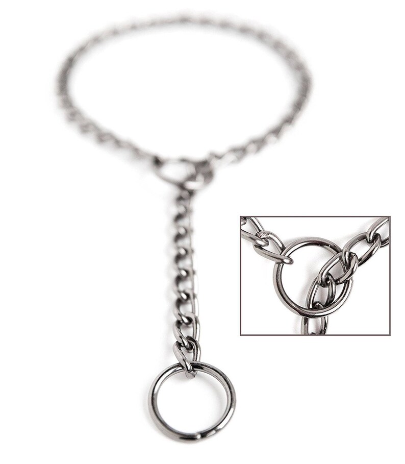 slip chain dog collar