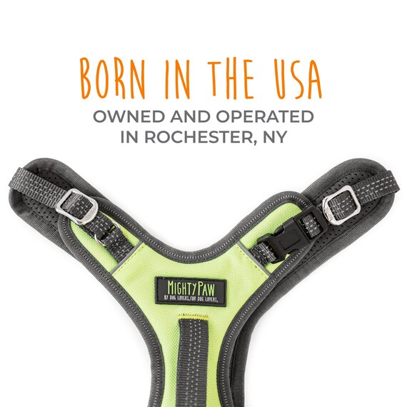 mighty paw sport harness