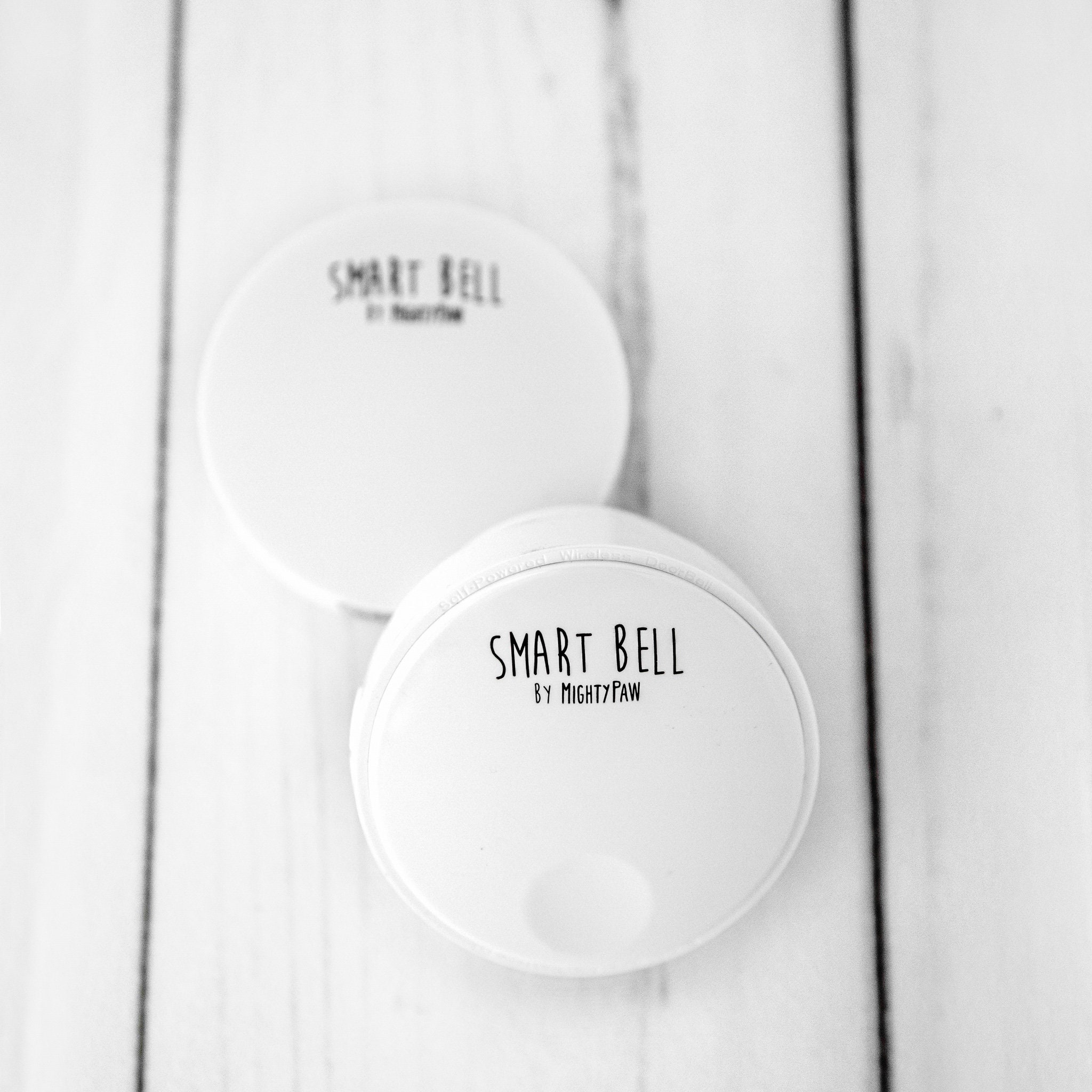 dog smart bell
