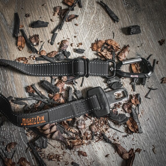 mighty paw dog vehicle safety belt