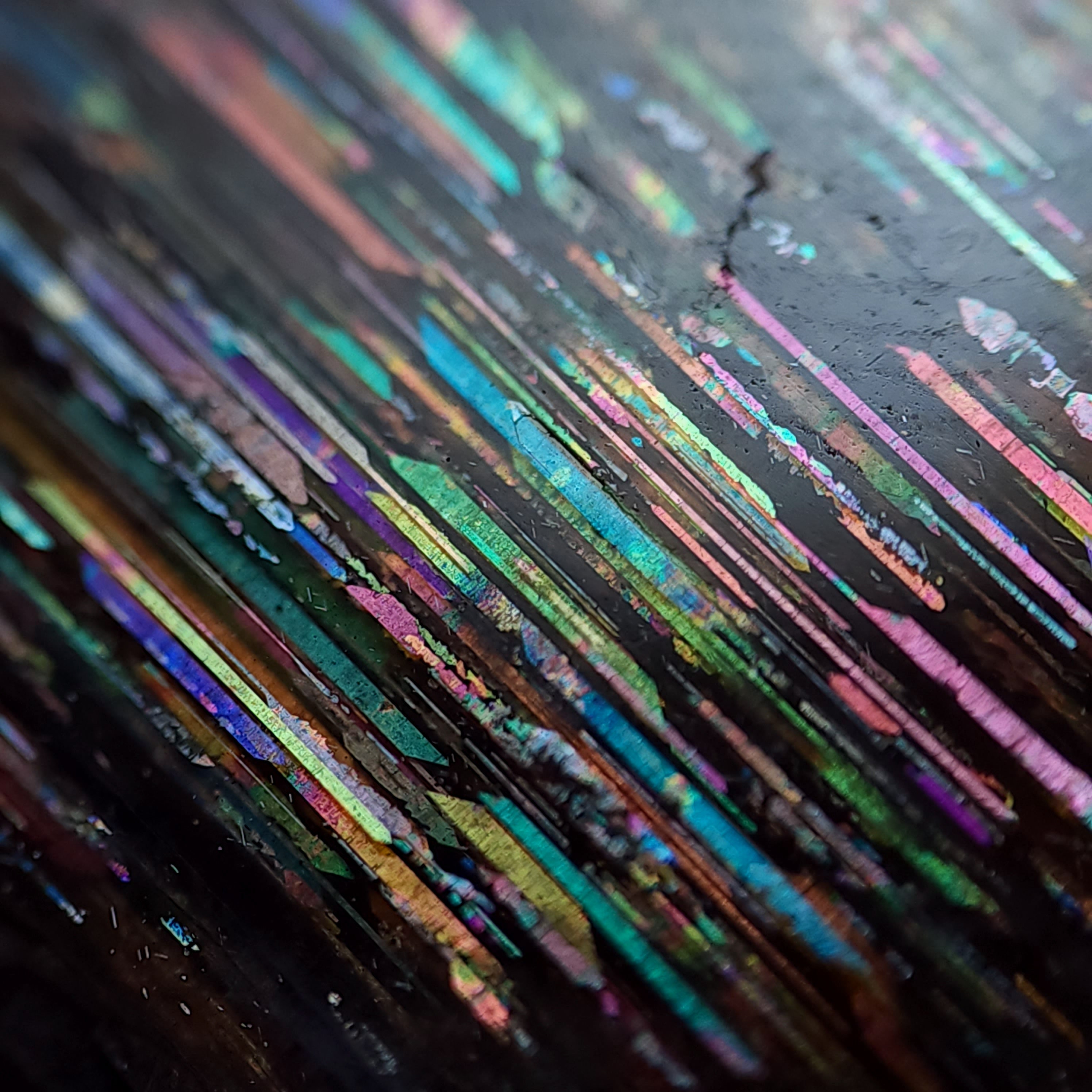 Ribbon Joggers, image size:2992x2992