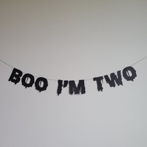 Boo I'm Two, Boo I'm Two Banner, 2nd Birthday Banner, Halloween Birthday Banner, Halloween Themed Birthday Banner, Halloween Birthday Party