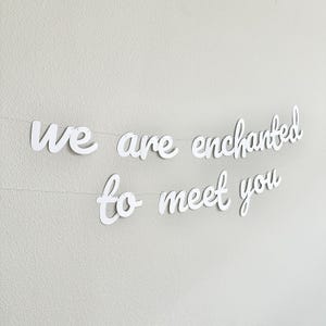 We Are Enchanted To Meet You, Baby Shower Banner, Baby Shower Ideas, Cursive Baby Shower Banner, Enchanted Baby Shower Theme