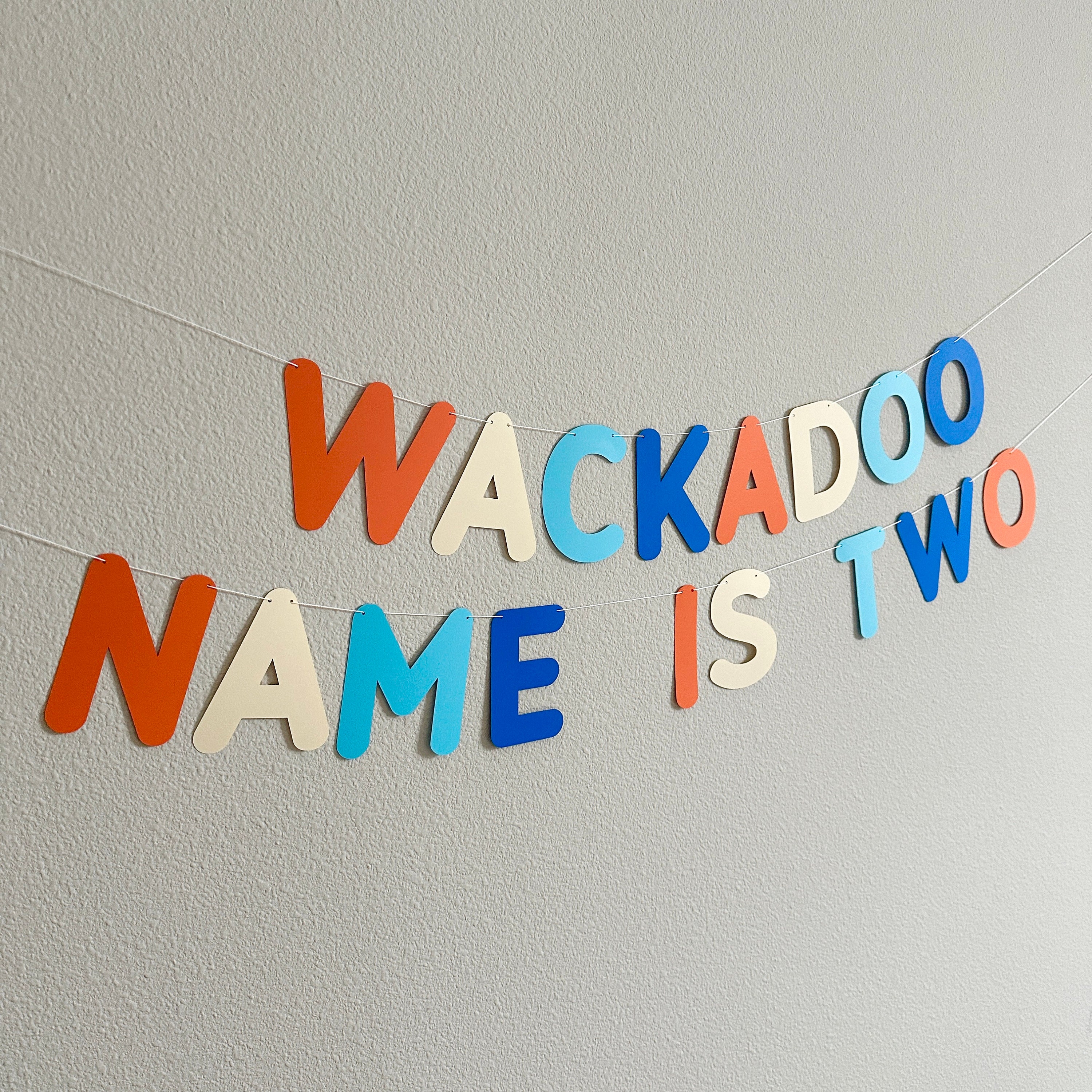 Wackadoo I'm Two Banner – Bluey Inspired Birthday Decorations