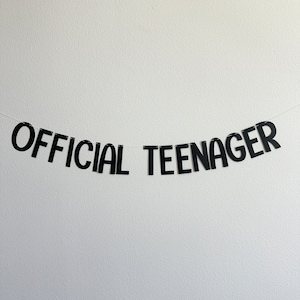 Official Teenager, Official Teenager Decorations, Official Teenager Banner, 13th Birthday Decorations, 13th Birthday Party Ideas