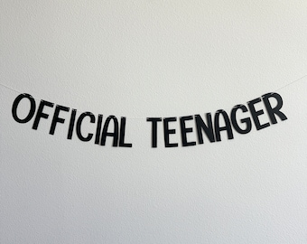 Official Teenager, Official Teenager Decorations, Official Teenager Banner, 13th Birthday Decorations, 13th Birthday Party Ideas