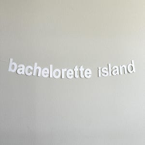 Bachelorette Island, Island Themed Bachelorette Decorations, Bachelorette Party Ideas, Island Bachelorette Banner
